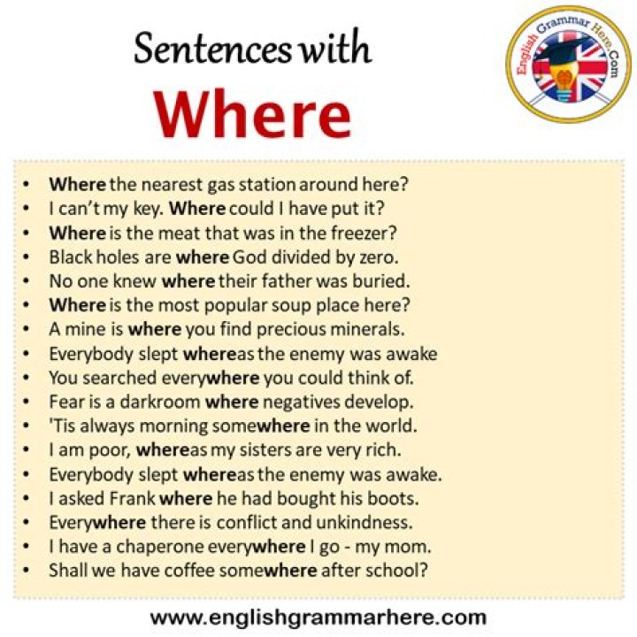 Whats a sentence for shrewd?