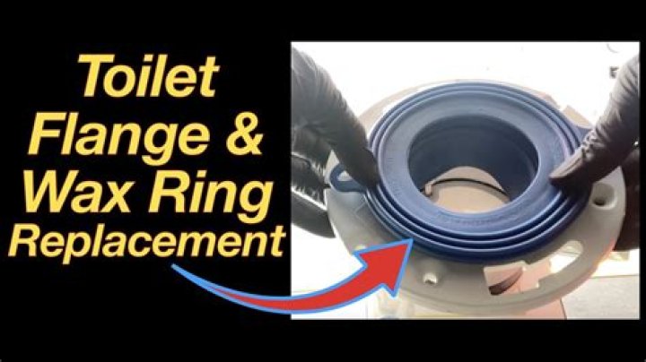 Whats a shoat ring?