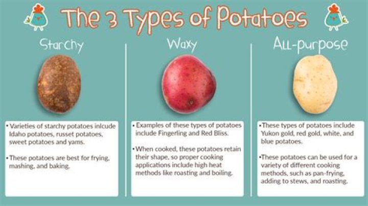 Whats a starchy potato?
