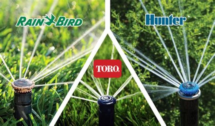 What's better rainbird or hunter?