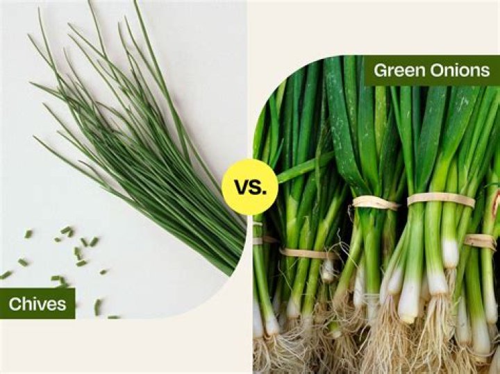 What's chive on mean?