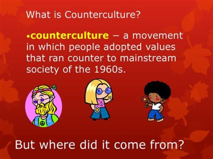 Whats counter culture mean?