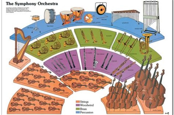 Whats d meaning of orchestrate?