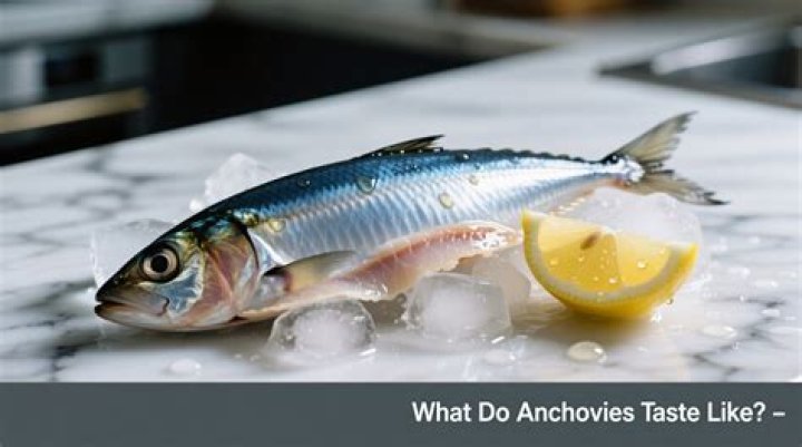 Whats do anchovies taste like?