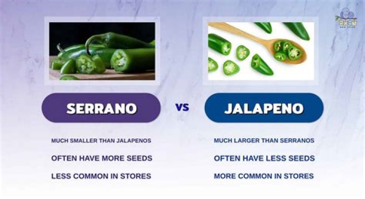 Whats hotter habanero or serrano?