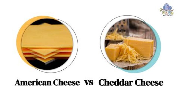 Whats in american cheese?