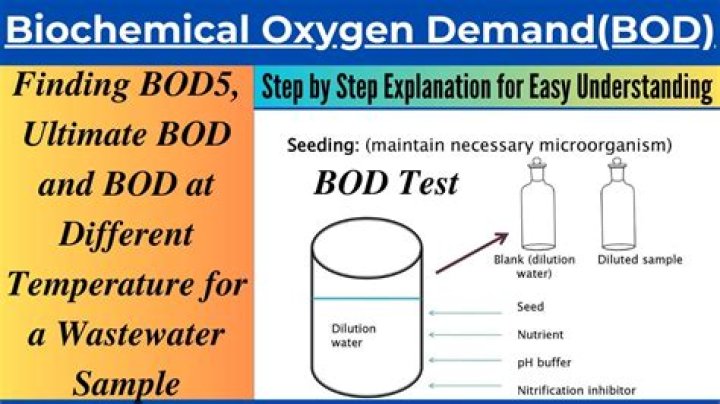 Whats meaning of bods?