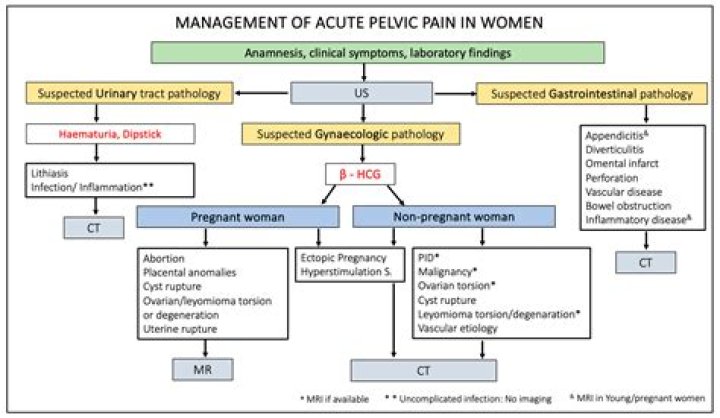 What's pelvic pain in pregnancy?