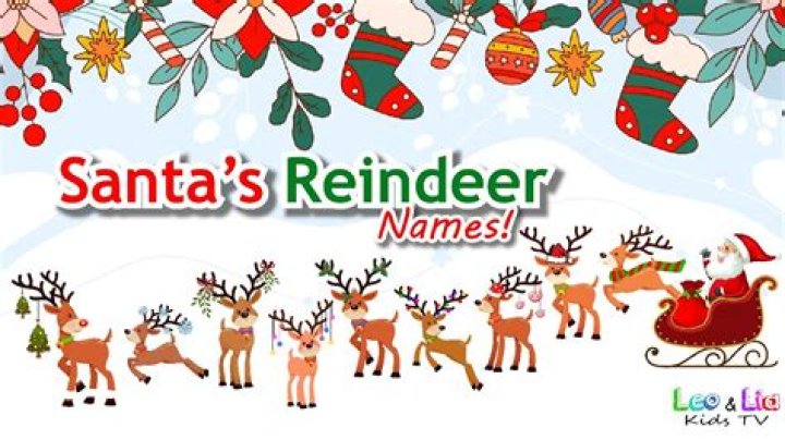 What's santa's reindeers names?