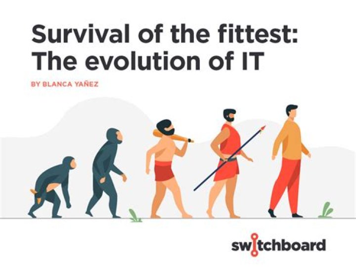 Whats survival of the fittest mean?