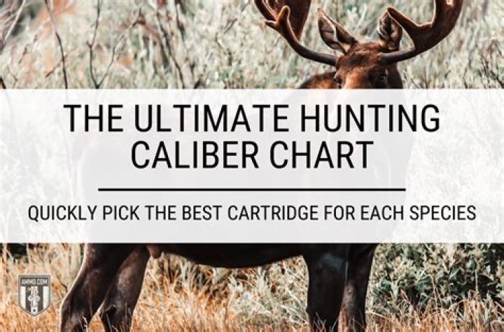 Whats the best caliber for deer hunting?