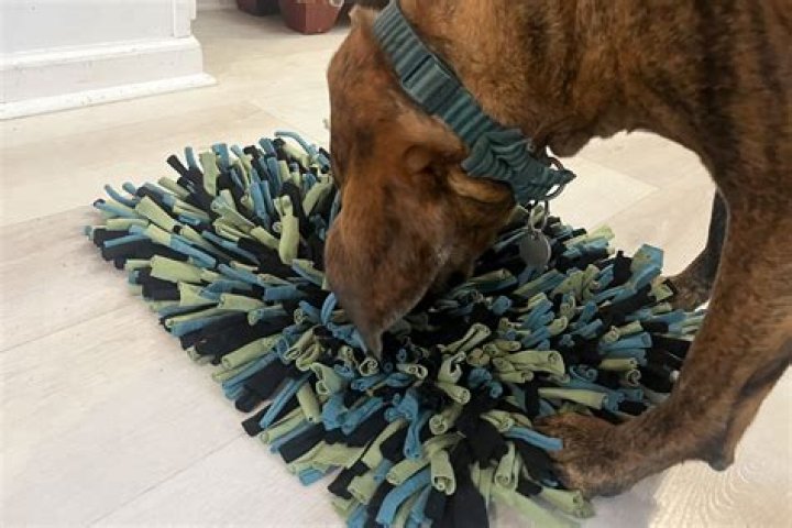 Whats the best snuffle mat for dogs?