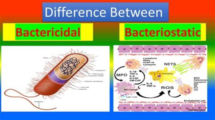 Whats the definition of bactericidal?