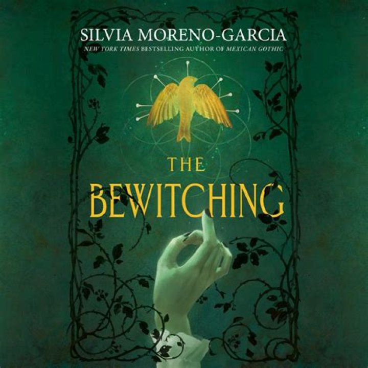 Whats the definition of bewitching?