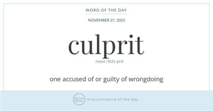 Whats the definition of culprit?
