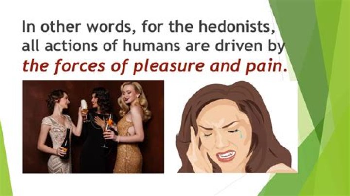 Whats the definition of hedonist?