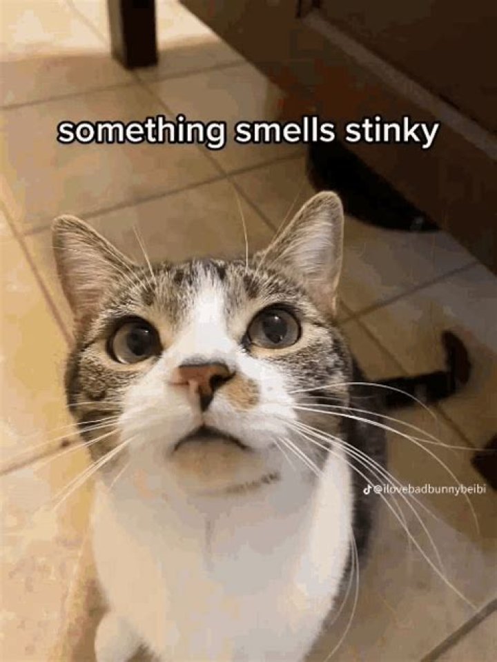 Whats the definition of sinky?