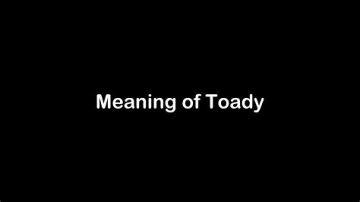 Whats the definition of toady?
