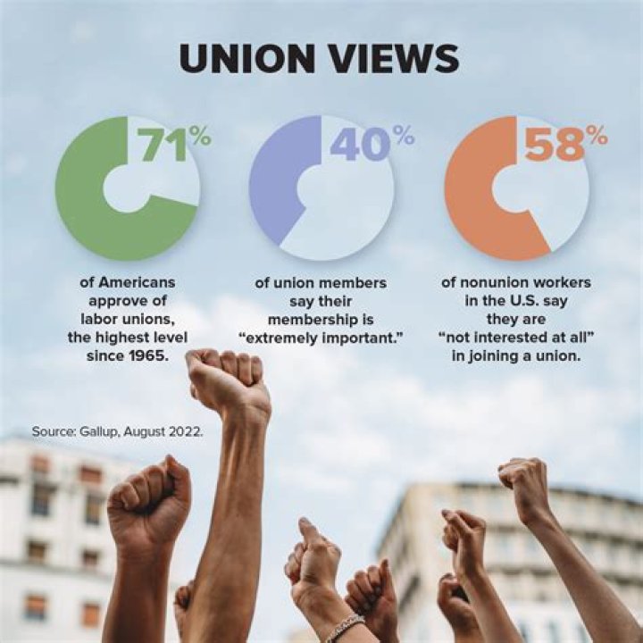 What's the definition of unionisation?