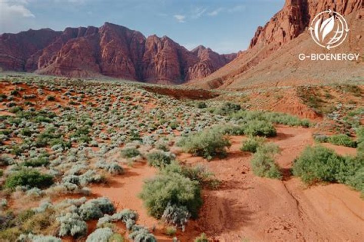 Whats the desert biomes?
