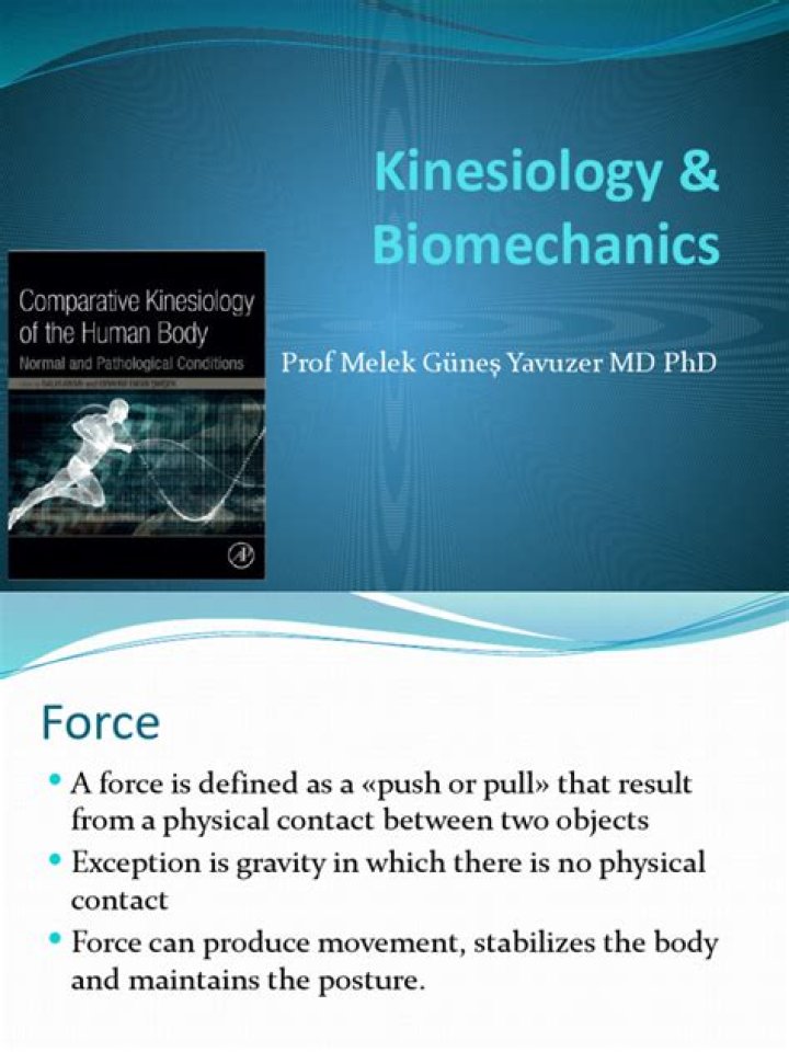 Whats the difference between biomechanics and kinesiology?