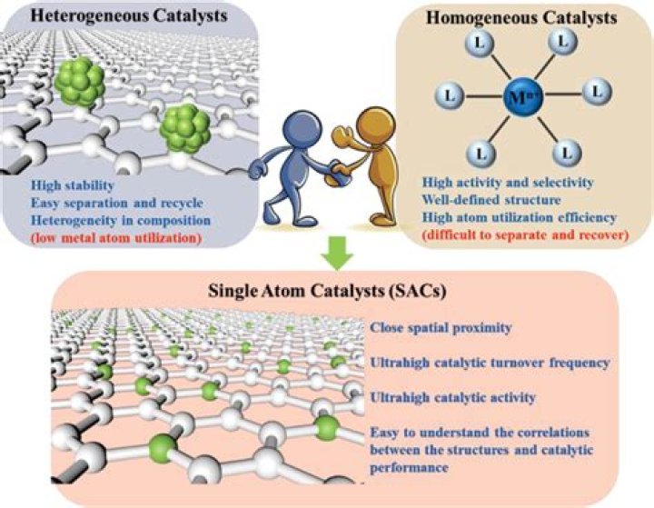 Whats the difference between catalysts?