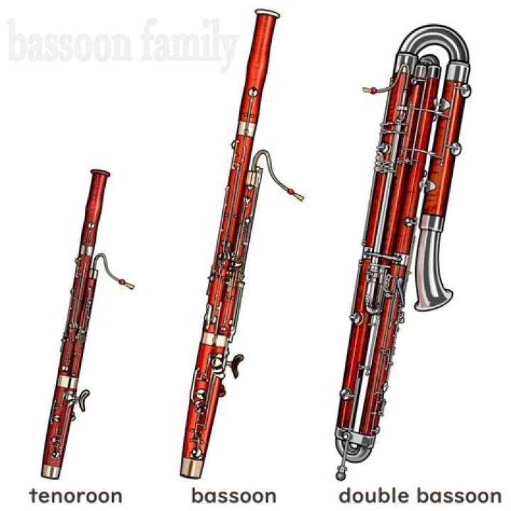 Whats the difference between contrabassoon and bassoon?