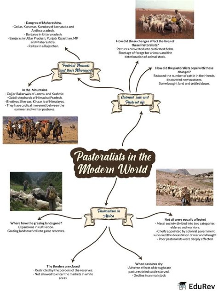 Whats the difference between pastoralists and other nomads?