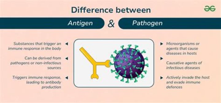 Whats the difference between pathogens and non pathogens?