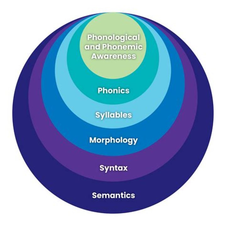 What's the difference between phonology and phonotactics?