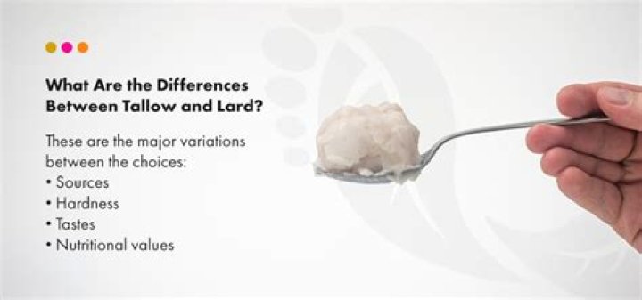 Whats the difference between tallow and lard?