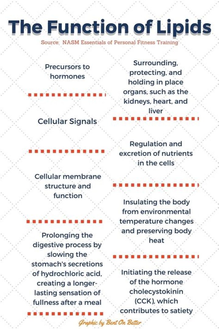 Whats the function of lipids?