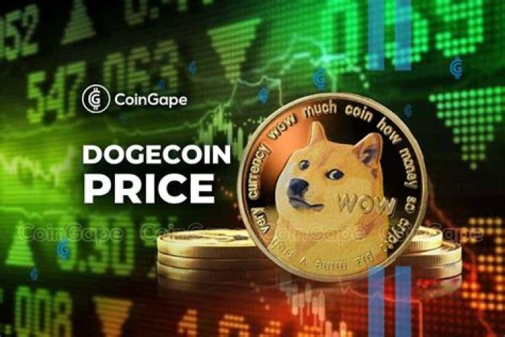 Whats the future of dogecoin?