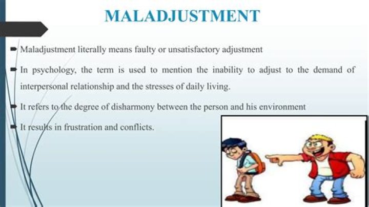Whats the meaning of maladjustment?