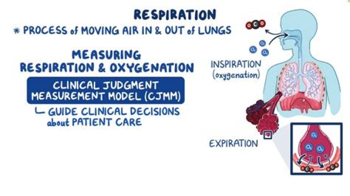 Whats the meaning of oxygenation?