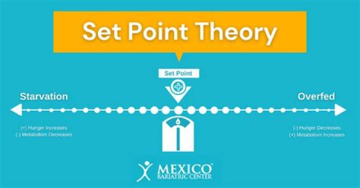 Whats the meaning of set point?