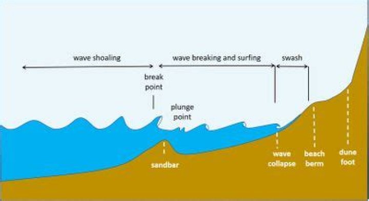 Whats the meaning of shoaling?