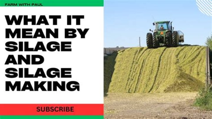 Whats the meaning of soilage?