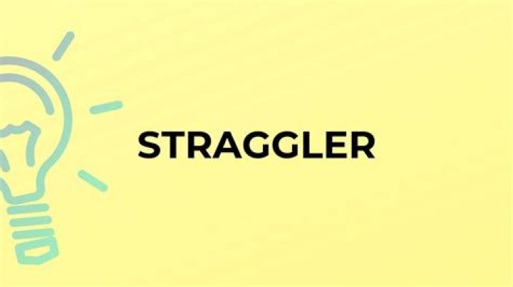 Whats the meaning of straggler?