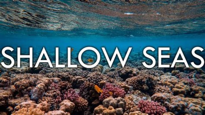 What's the shallowest ocean in the world?