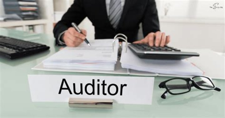 Whats the work of an auditor?