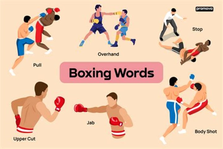 What's tko in boxing?
