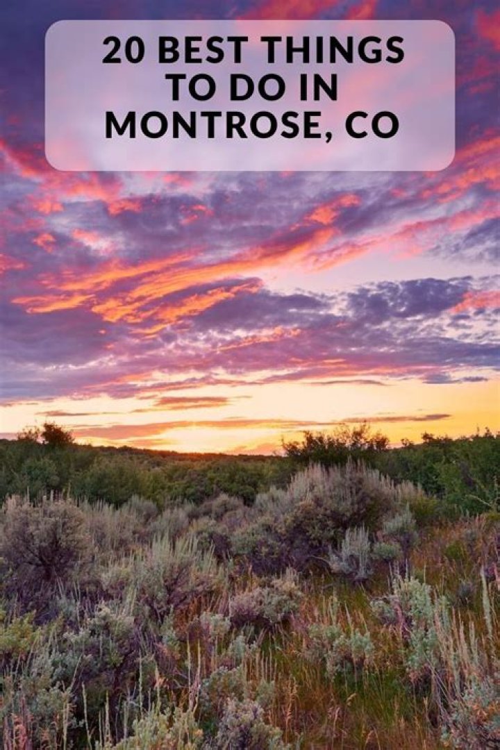 Whats to do in montrose?