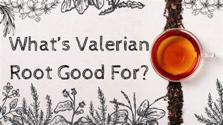 What's valerian root good for?