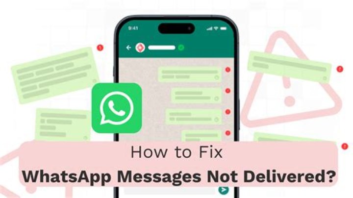 Whatsapp messages not delivering?