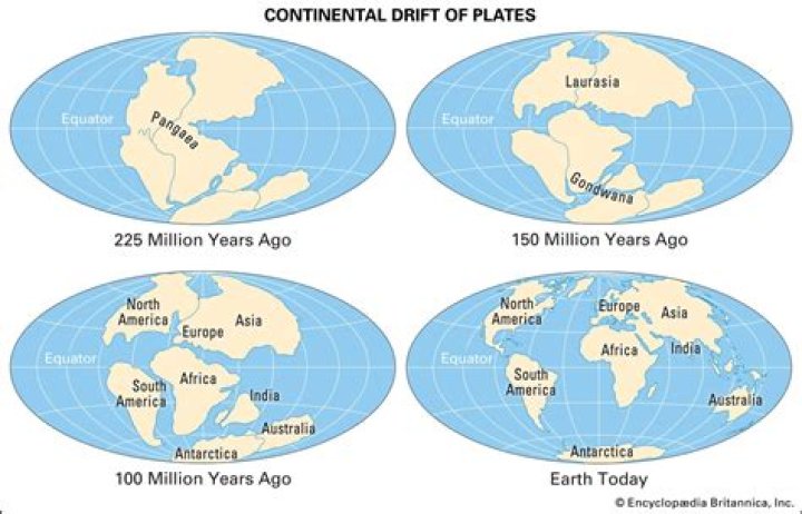 When a continental plate splits and diverges?