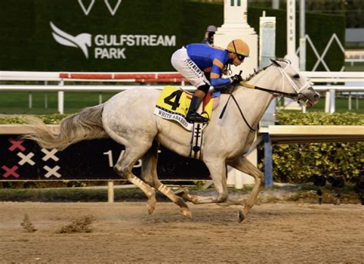 When a horse is foaled?