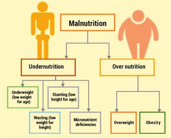 When a person is malnourished?