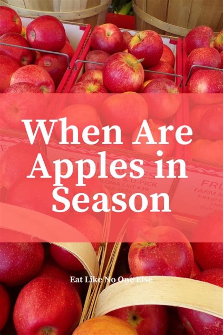 When are kentish apples in season?