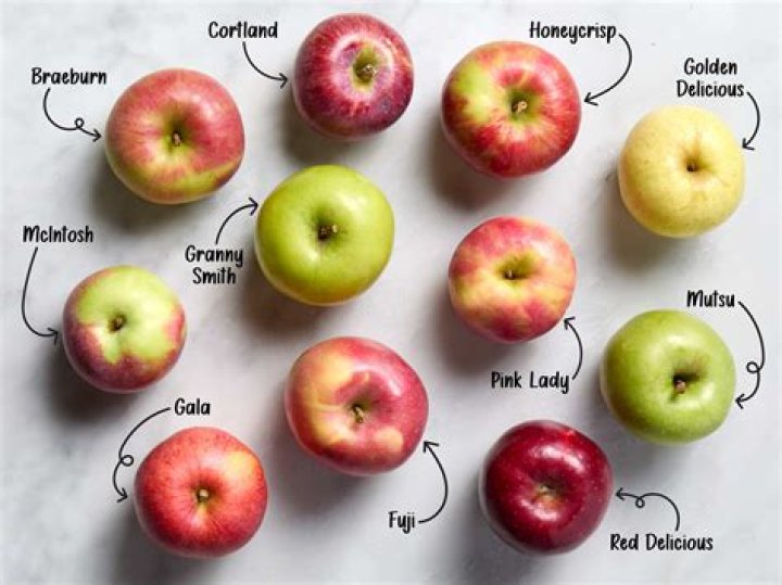 When are macintosh apples ready to pick in ontario?